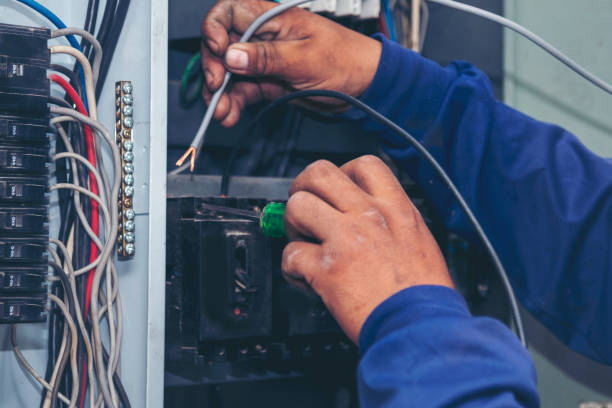 Best Electric Panel Repair  in Dalzell, SC